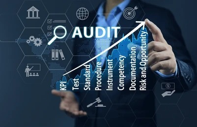 Audit services